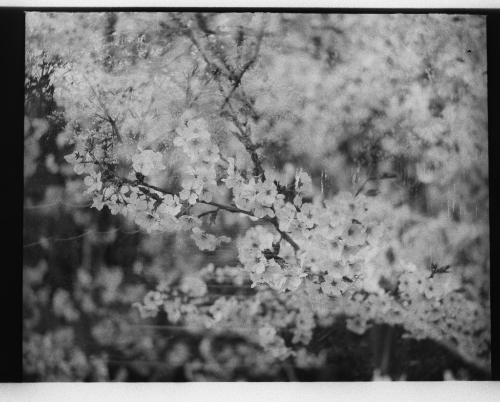 Rejecting Cynicism: Remembering Mondrian in&nbsp;2024.