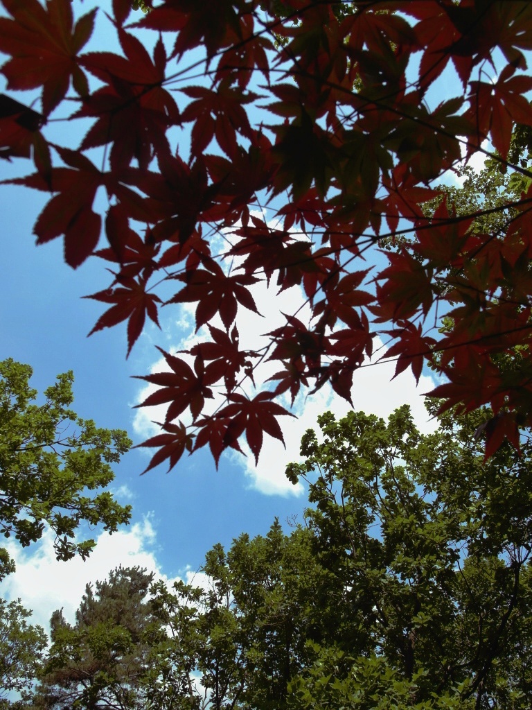 A look back at Spring 2024: Food, History and&nbsp;Gopchang.